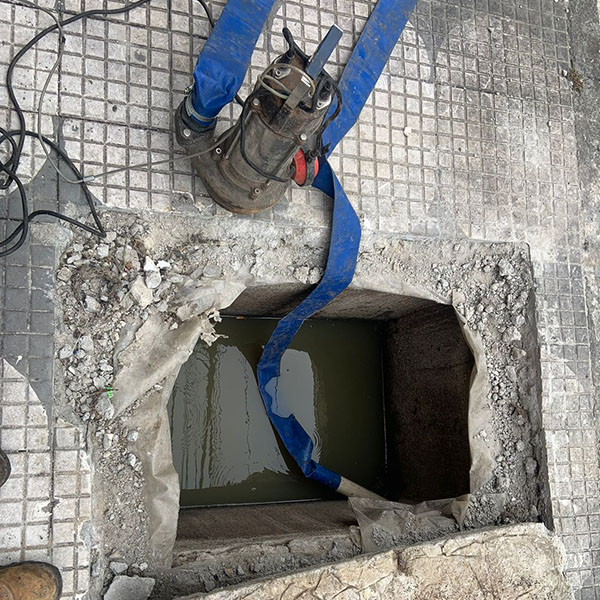 Desentupidora São Caetano do Sul D5 em SP