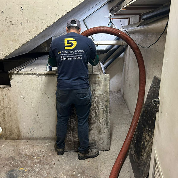 Desentupidora São Caetano do Sul D5 em SP