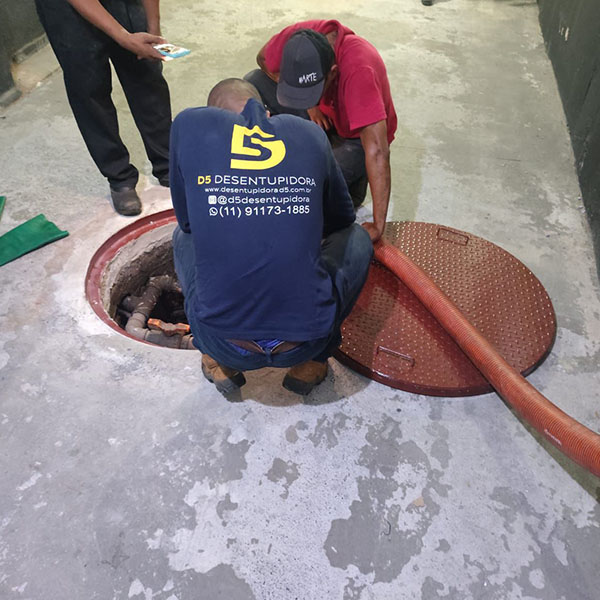 Desentupidora São Caetano do Sul D5 em SP